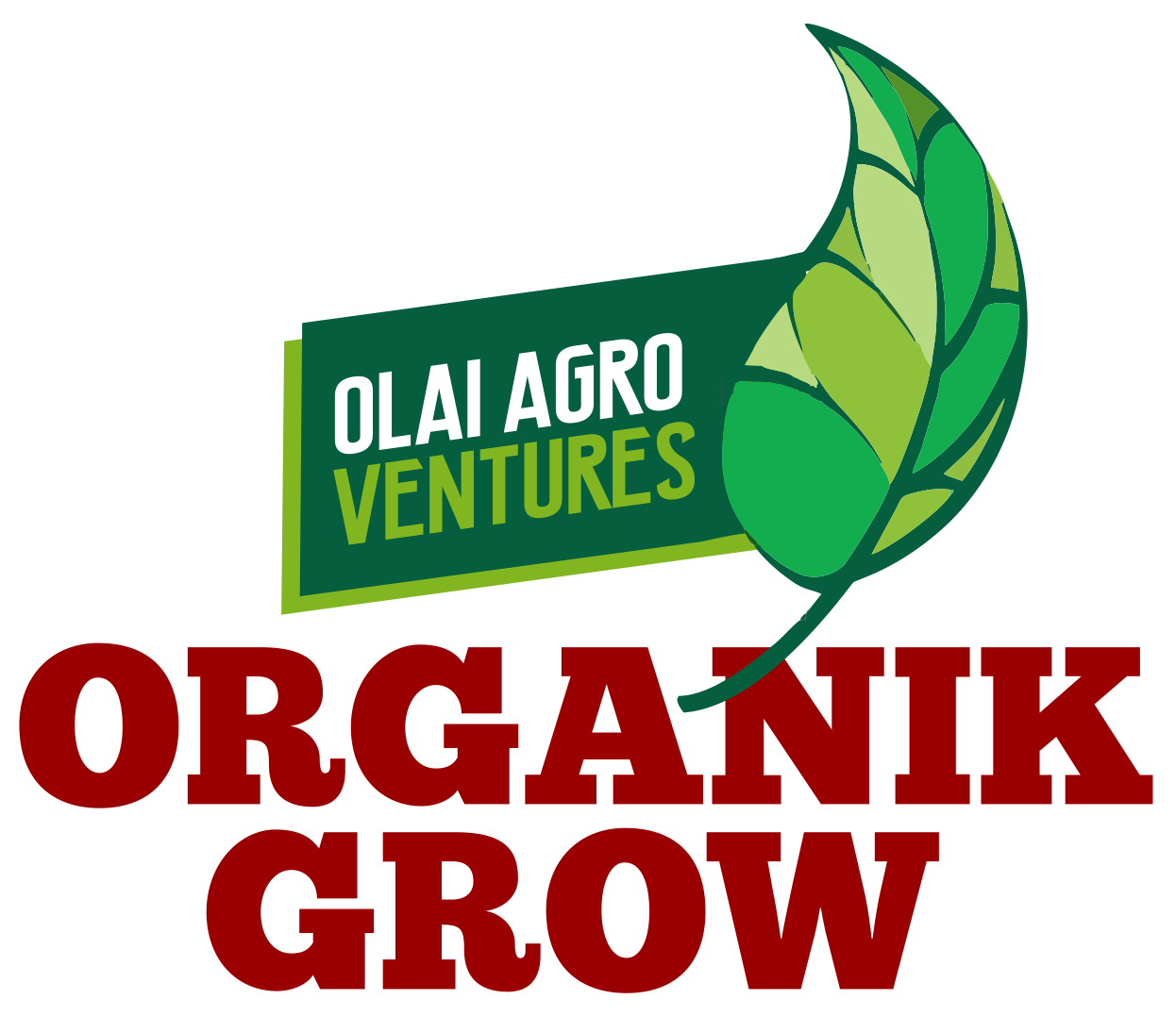 OLAI AGRO VENTURES - logo - Copy (2)